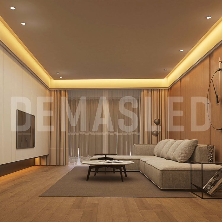 Tira LED SMD2835 24V 12W/m Cálido 1200lm/m 120 LEDs/m 8mm PBC, 5m