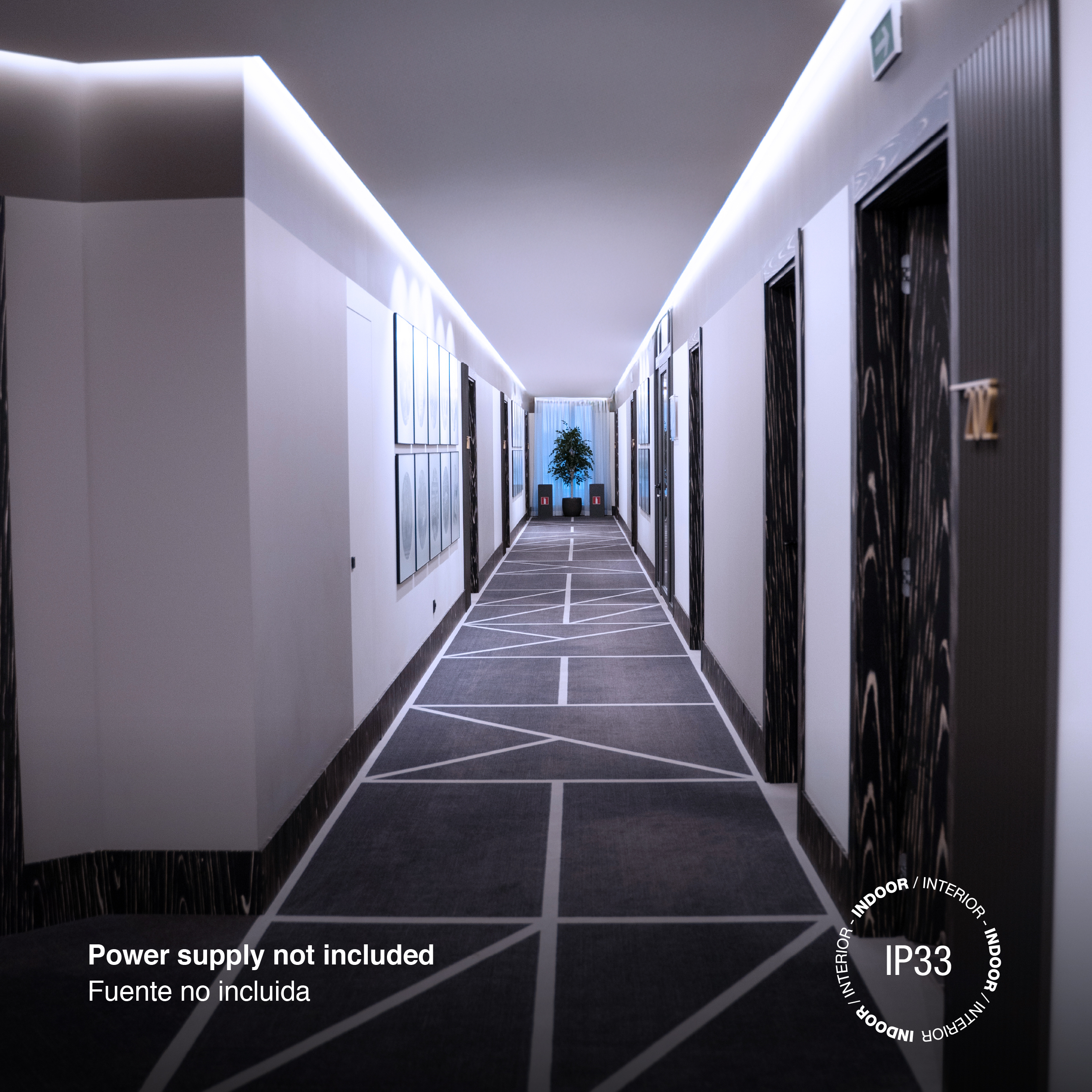 Tira LED SMD2835 24V 12W/m, Frío 1200lm/m 120 LEDs/m, 8mm PBC, 5m