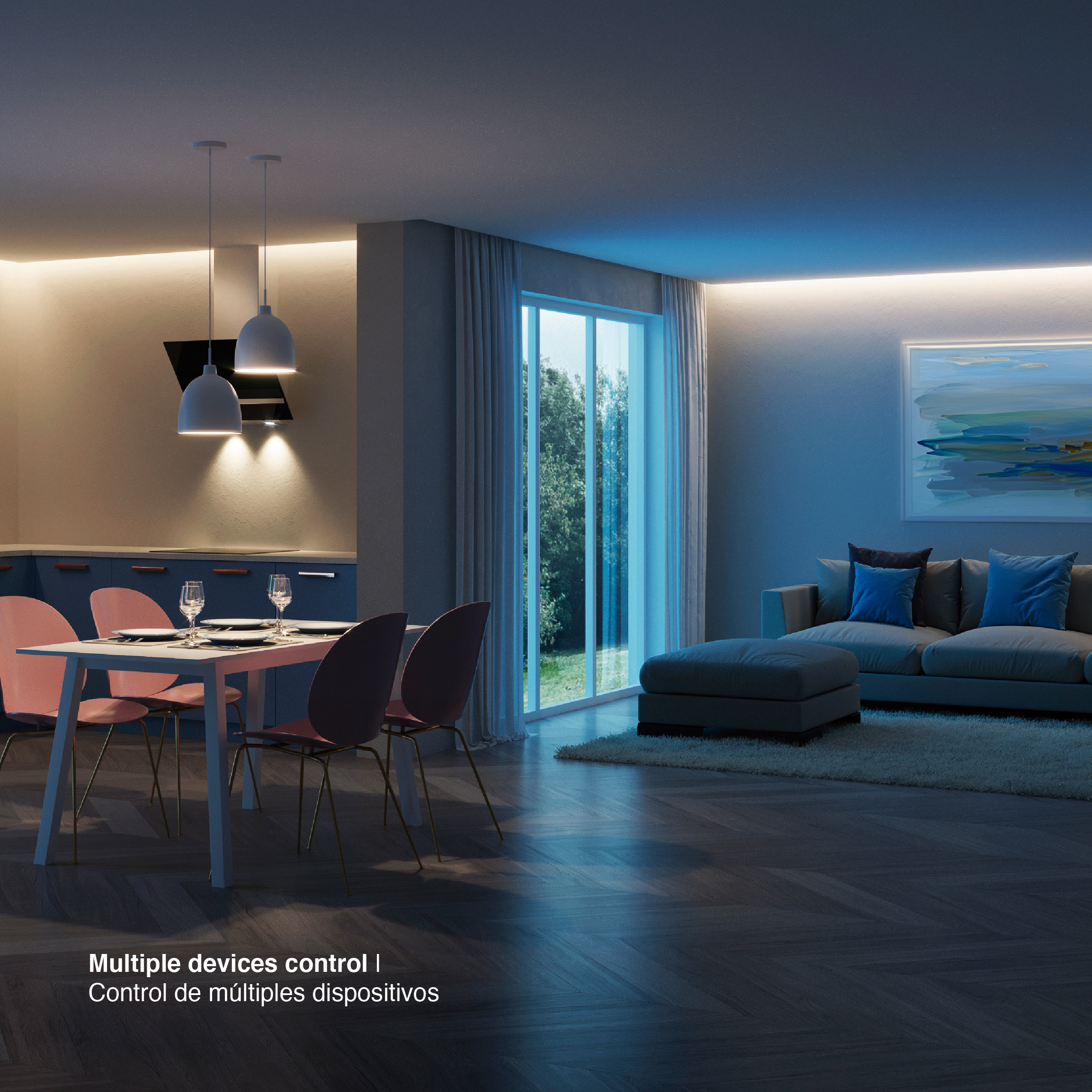 Control Remoto RGB+CCT 3V 2.4GHz