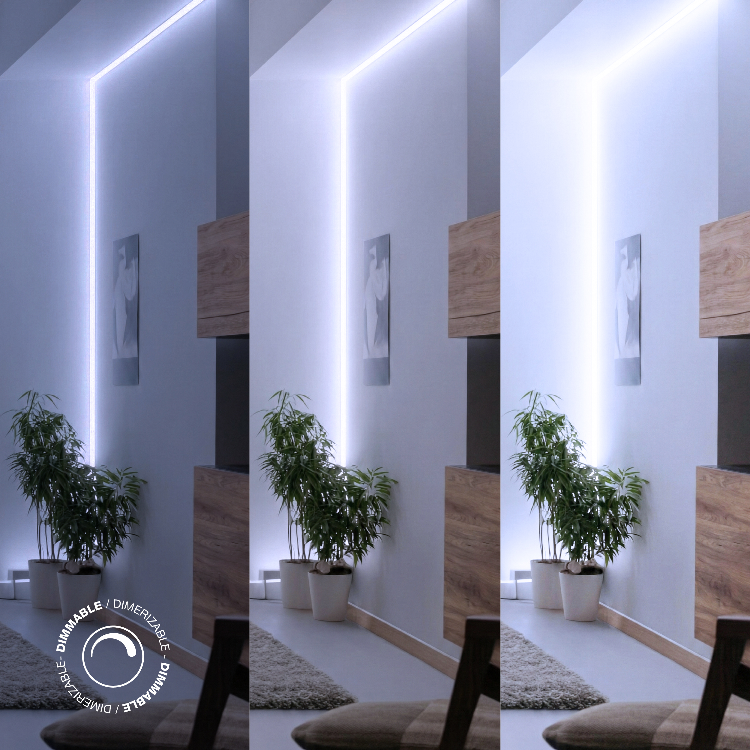 Tira LED Zig-Zag SMD2835, 24V 6.2W/m Frío 660 lm/m 60 LEDs/m, 5m