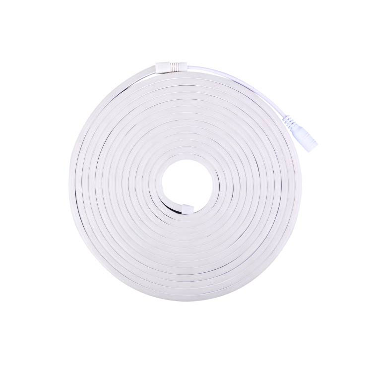 Tira LED de Neón SMD2835 IP67 12V 10W/m RGB 96 LED/m 5m