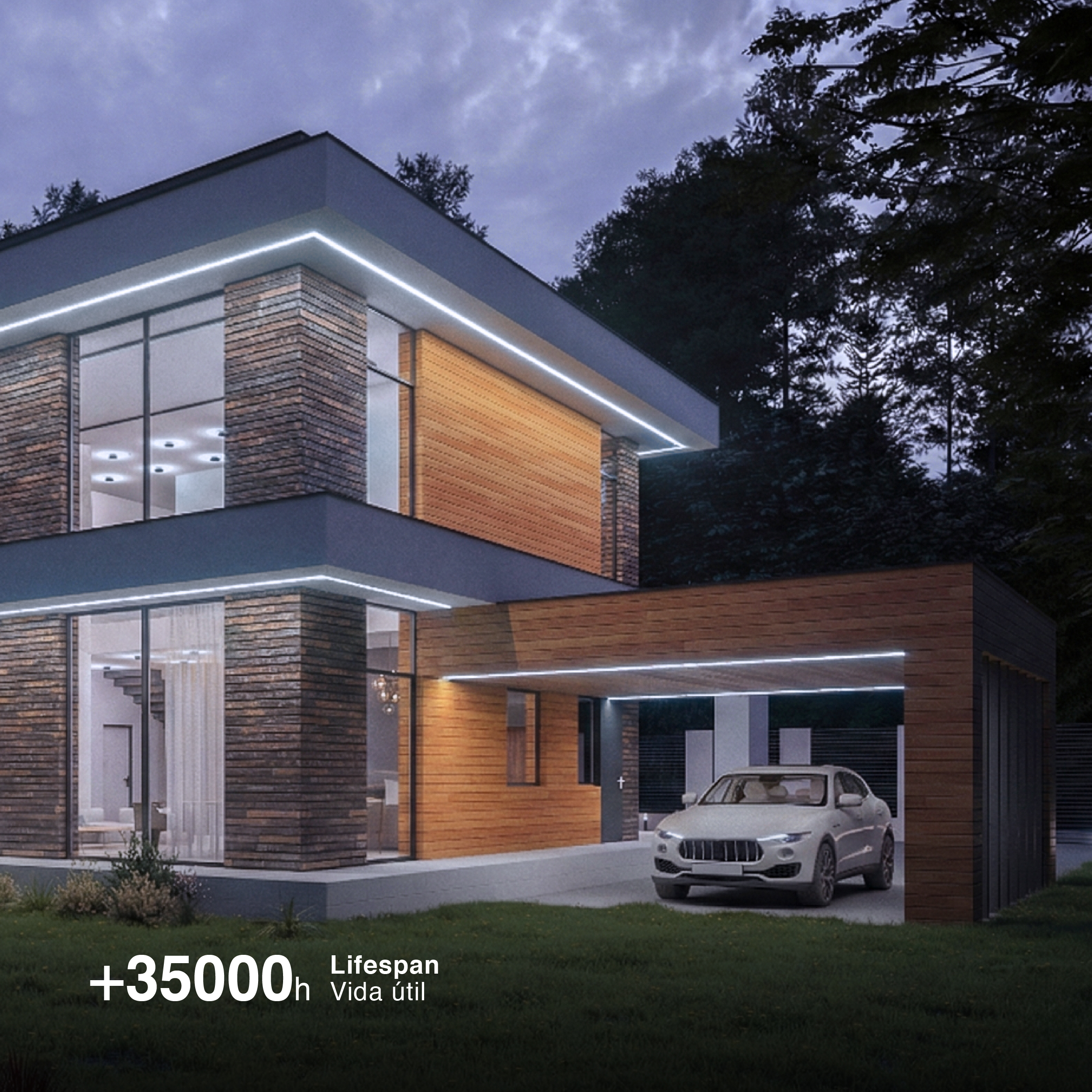 Tira LED COB 24V 11W/m Blanco Frío 1100lm/m 480 LEDs/m 8mm IP65, 5m