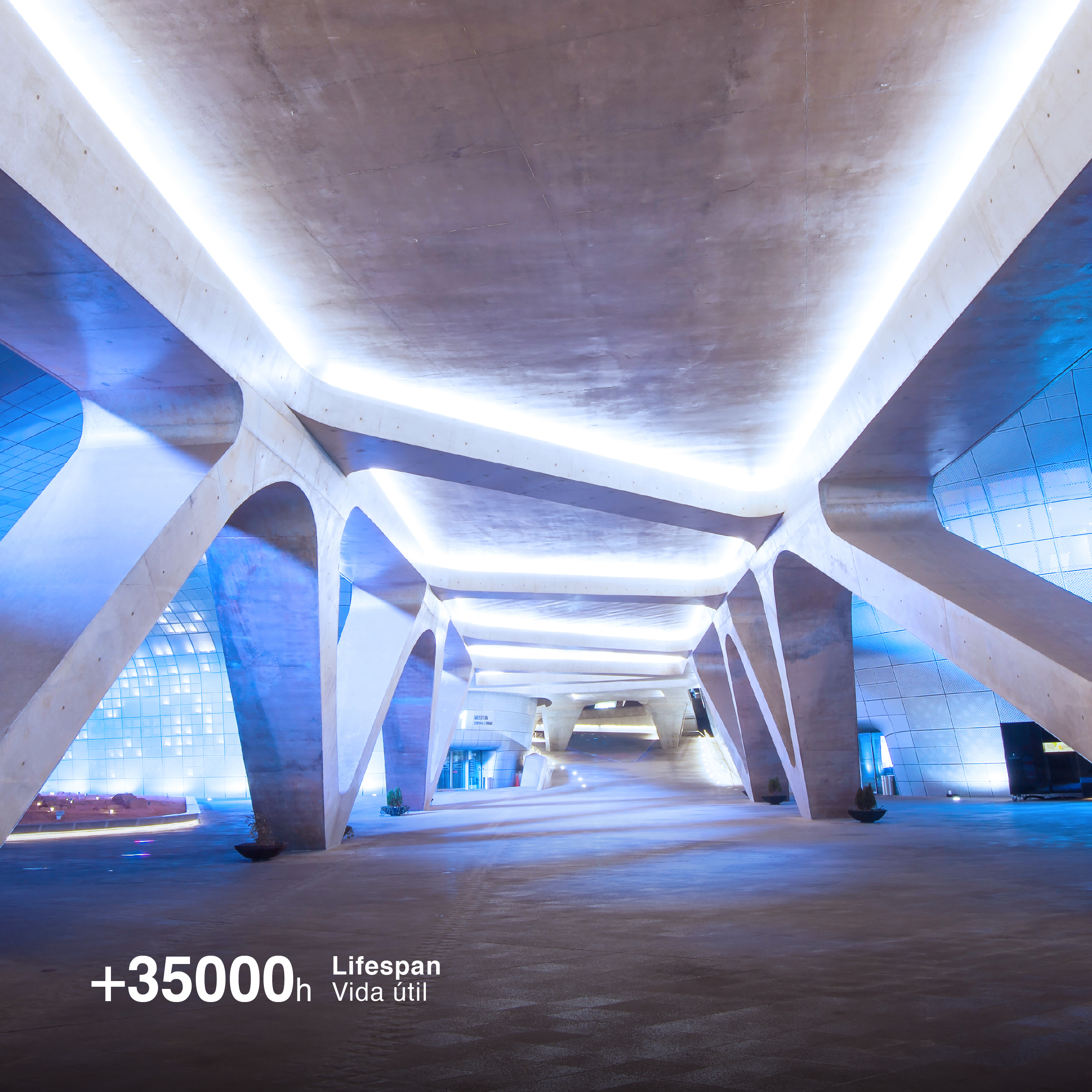 Tira LED COB 24V 11W/m Blanco Frío 1071lm/m 480LEDs/m 11mm IP68, 5m