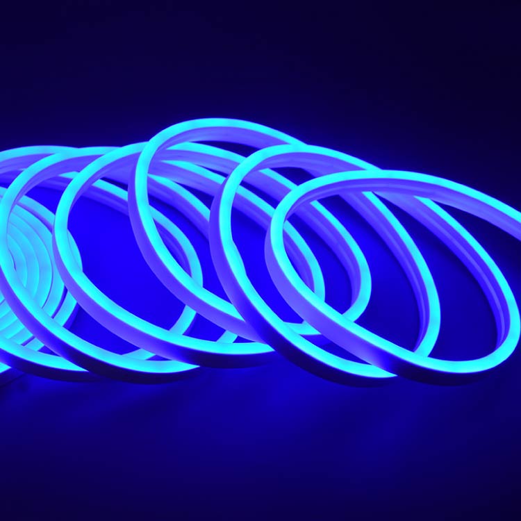 Tira LED de Neón SMD2835 IP67 12V 6W/m Azul 120 LED/m 5m