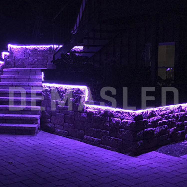 Tira LED de Neón SMD2835 IP67 12V 10W/m RGB 96 LED/m 5m