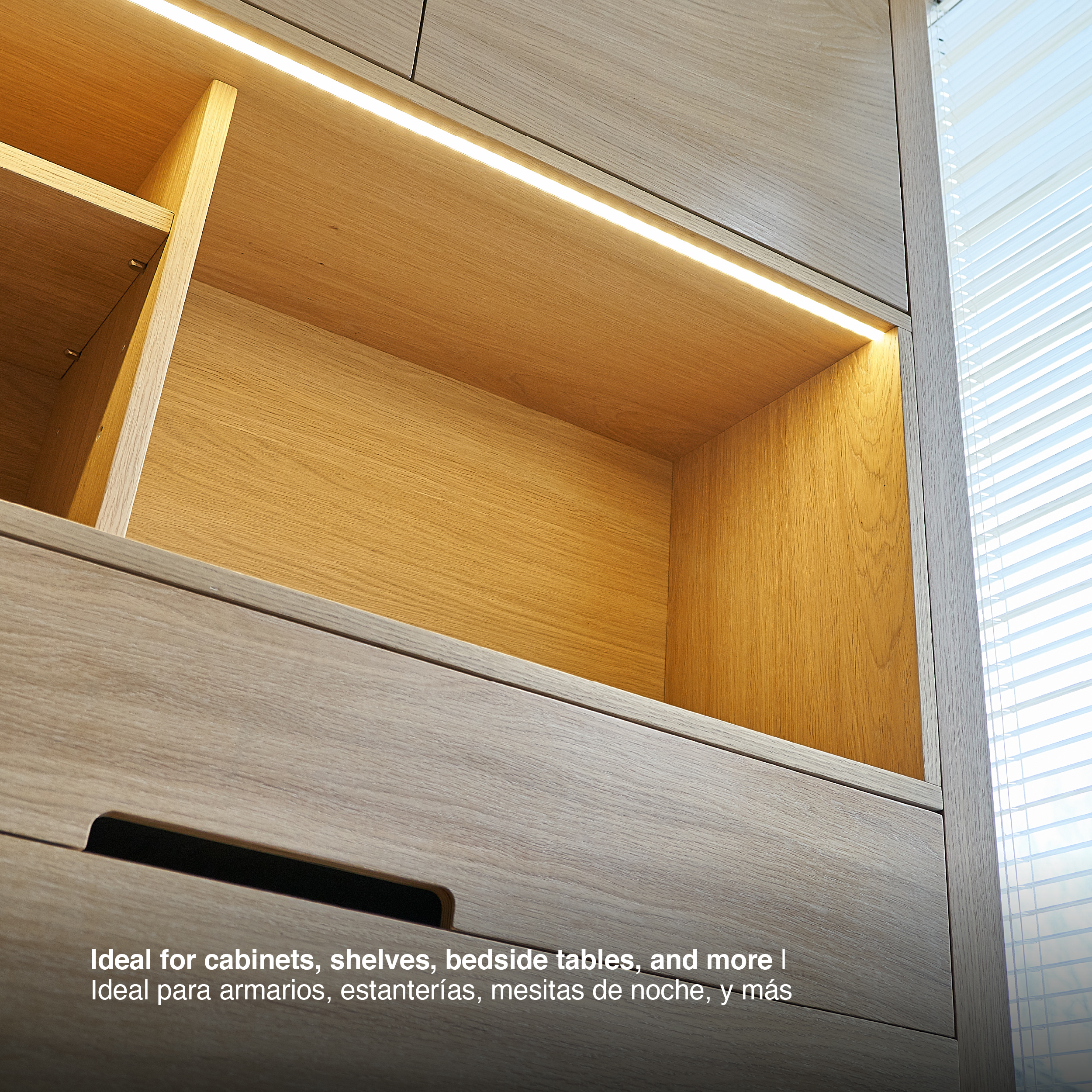  Interruptor Táctil Oculto Circular Ø52mm 12V-24V