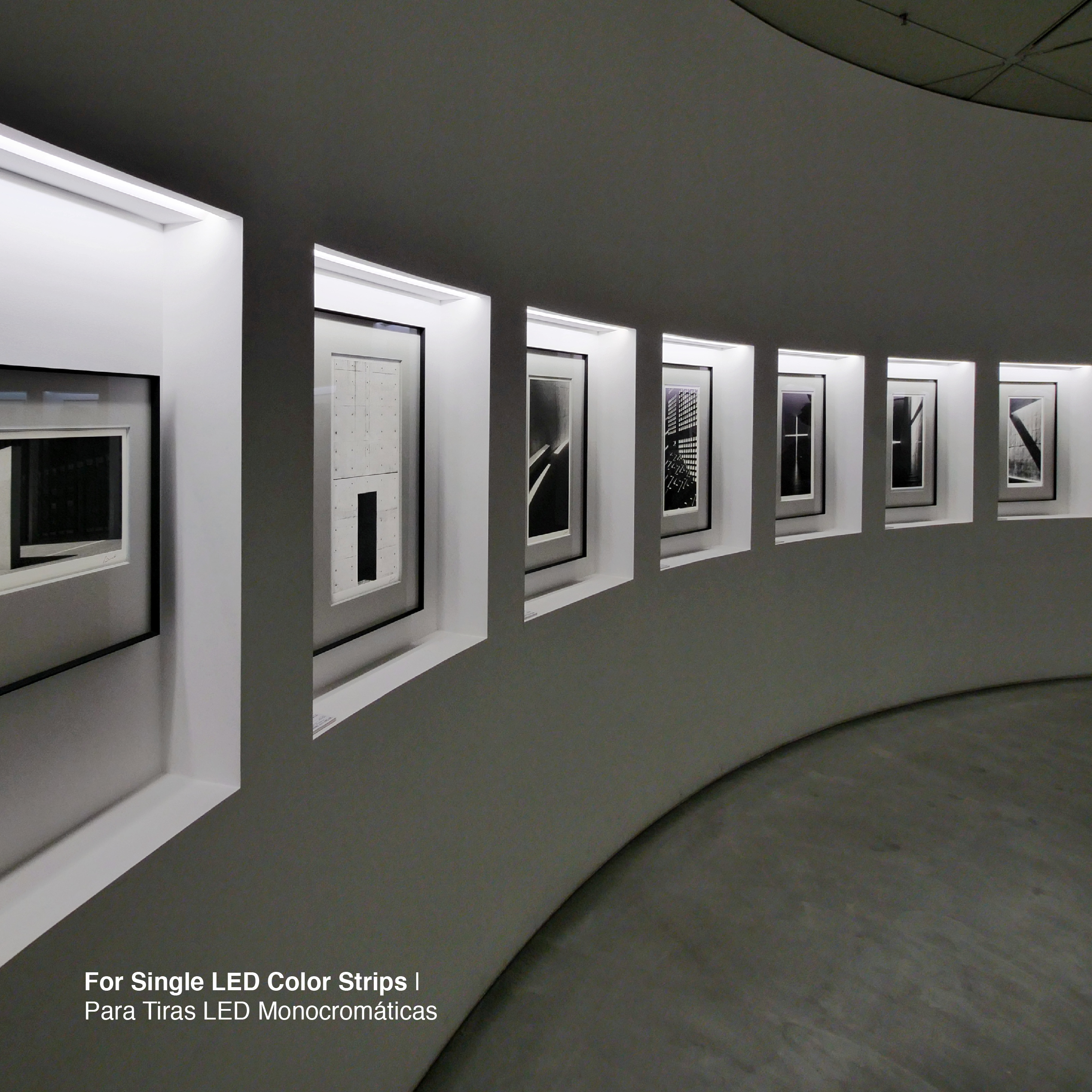 Amplificador de Alto Rendimiento 1 Canal 25A máx. 24V