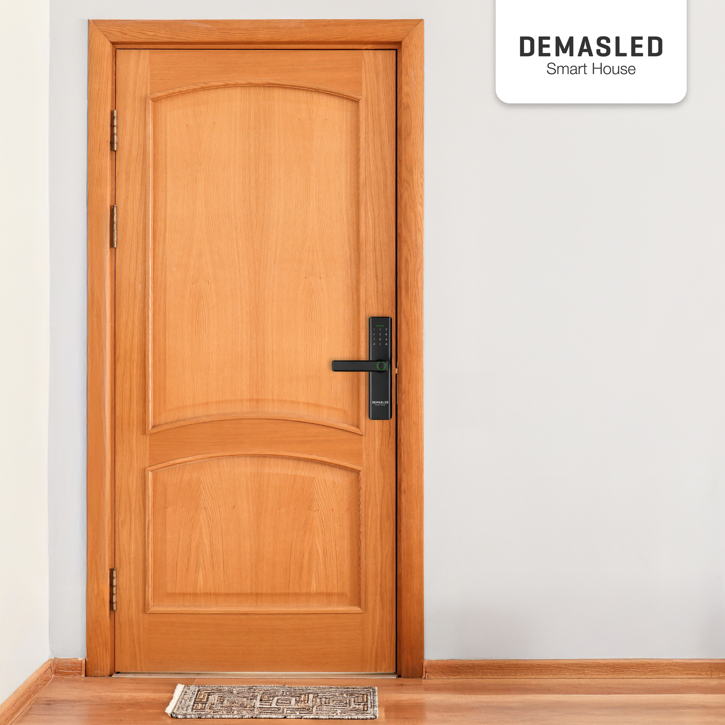 Cerradura Biométrica Smart WIFI 