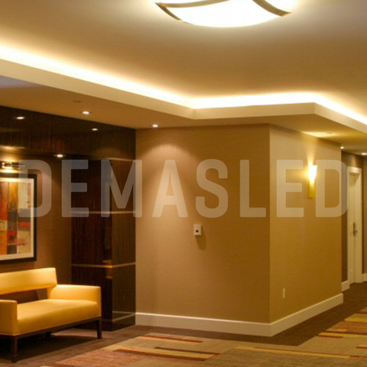 Tira LED SMD2835 12V 12W/m Cálido 1200lm/m 120 LEDs/m 8mm PBC, 5m