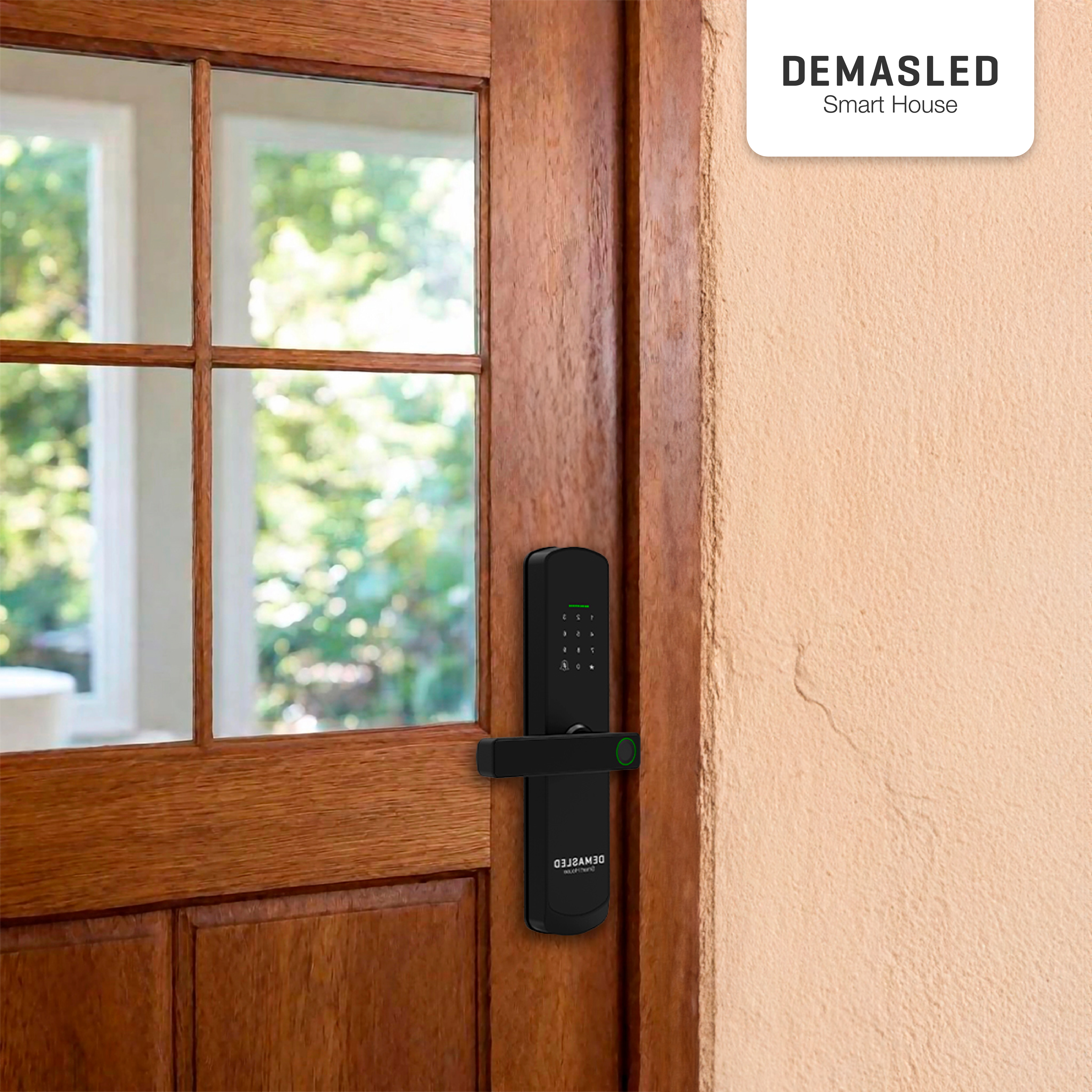 Cerradura Biométrica Smart WIFI