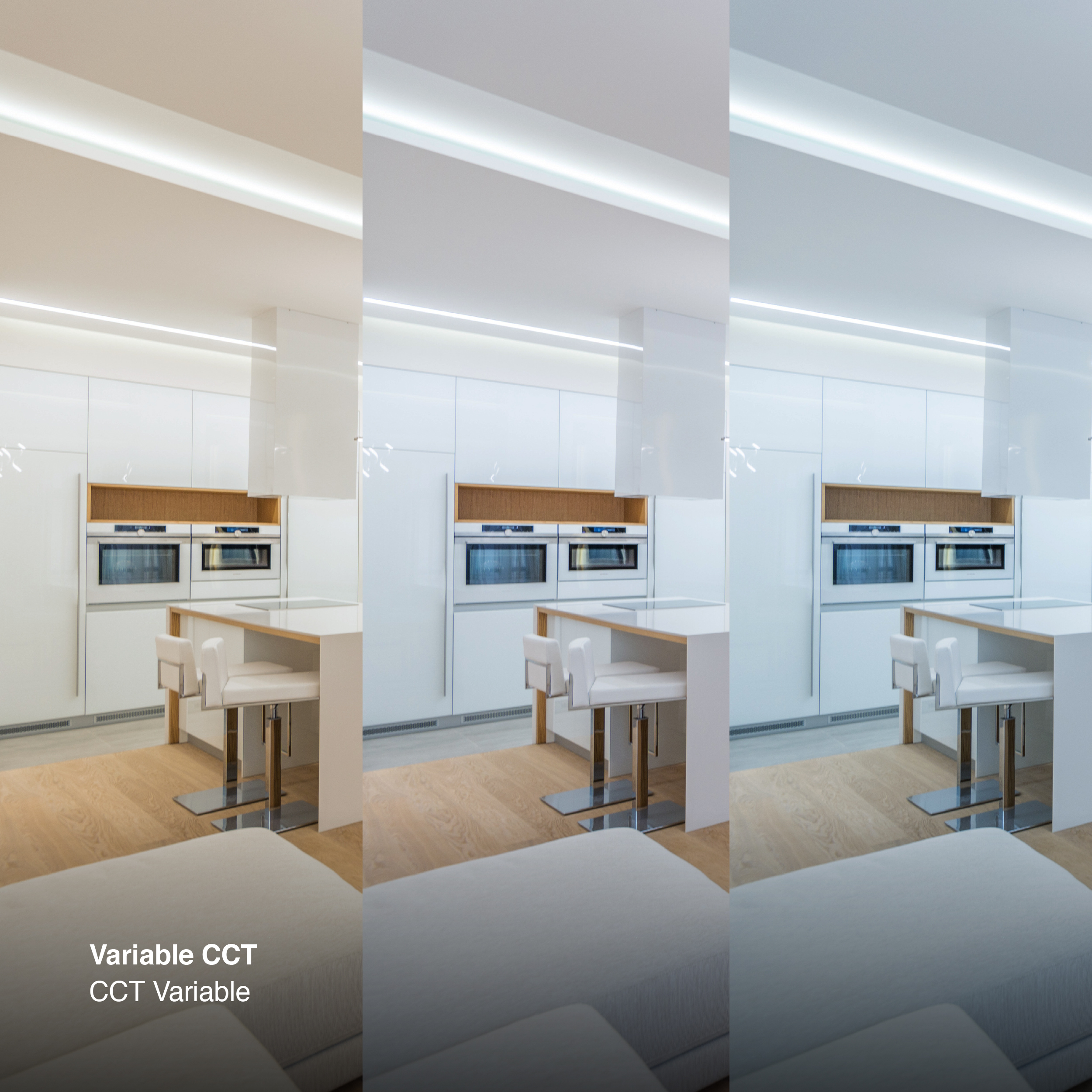 Tira LED COB 24V 16W/m RGB+CCT 860lm/w 840LEDs/m, 12mm PCB x5m