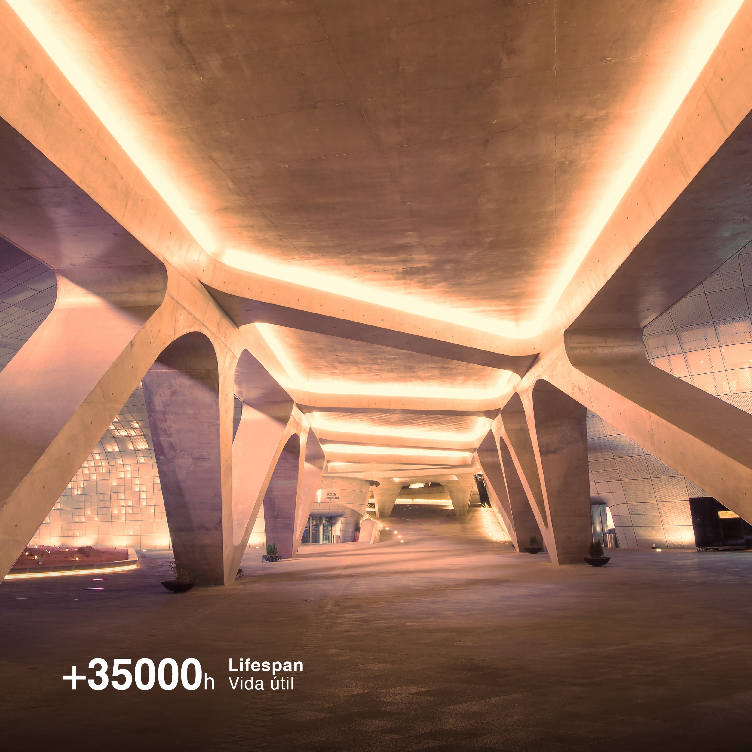 Tira LED COB 24V 11W/m Blanco Cálido 891lm/m 480 LEDs/m 11mm IP68, 5m