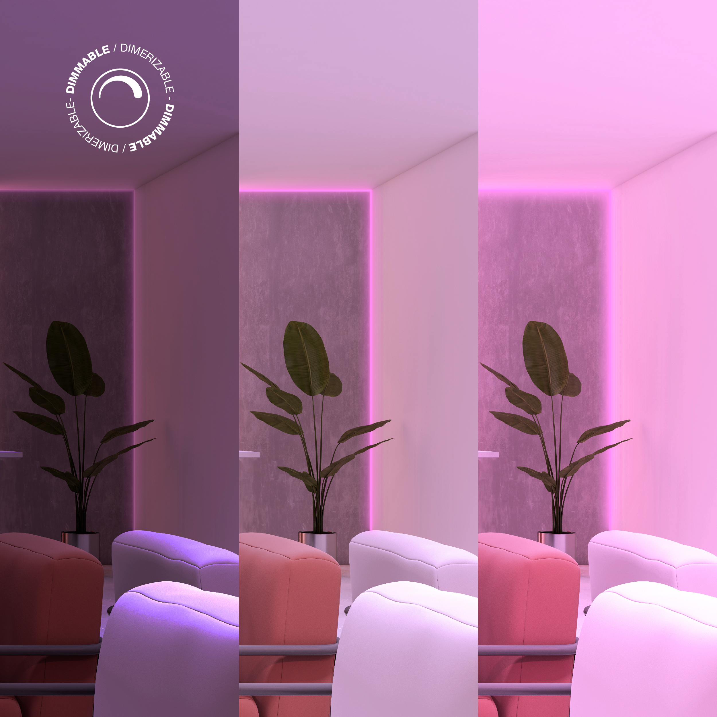 Control Remoto RGB+CCT 3V 2.4GHz