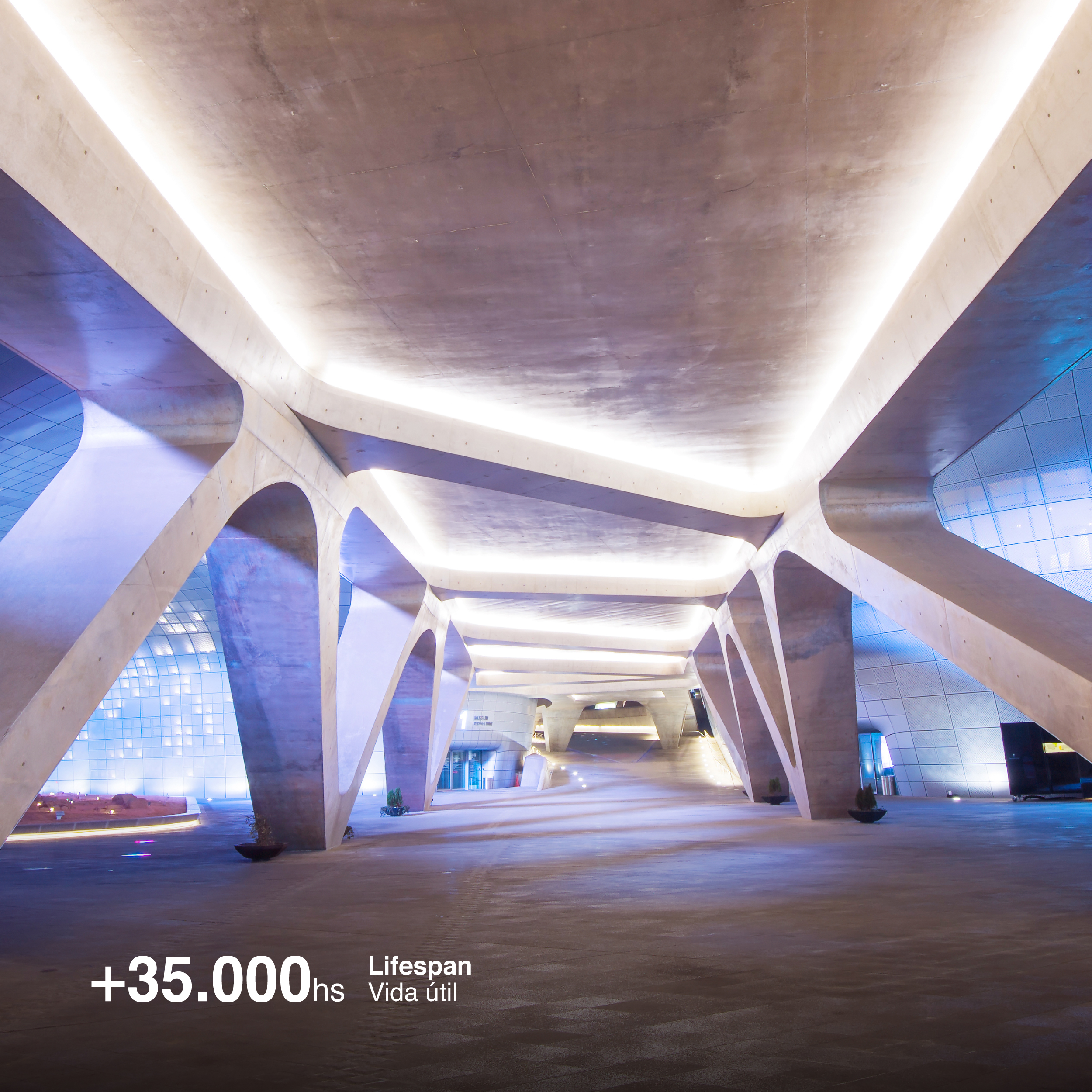 Tira LED COB 24V 11W/m Blanco Neutro 1100lm/m 480 LEDs/m 11mm IP68, 5m