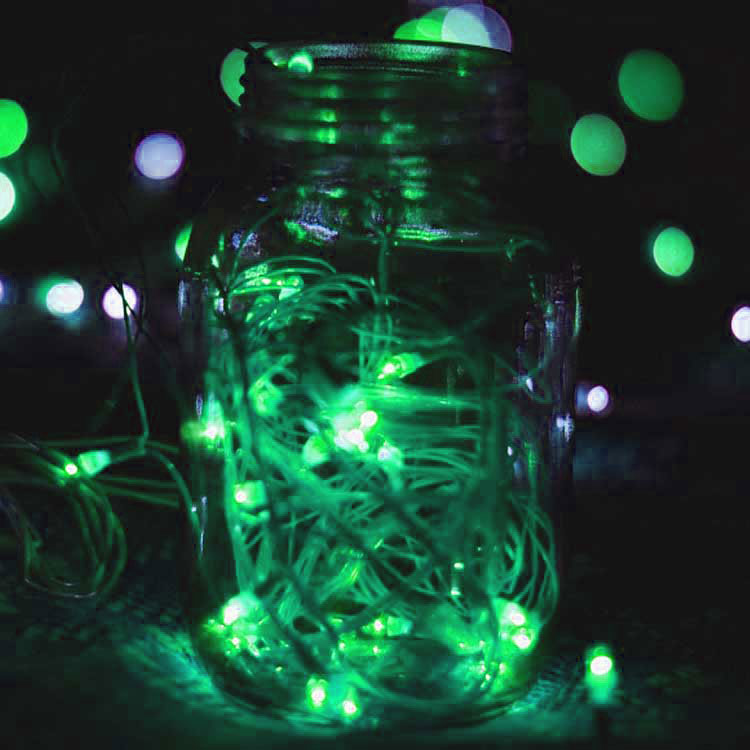 Guirnalda LED 10m, Verde 500lm 12V 6W, 100 LEDs, IP67