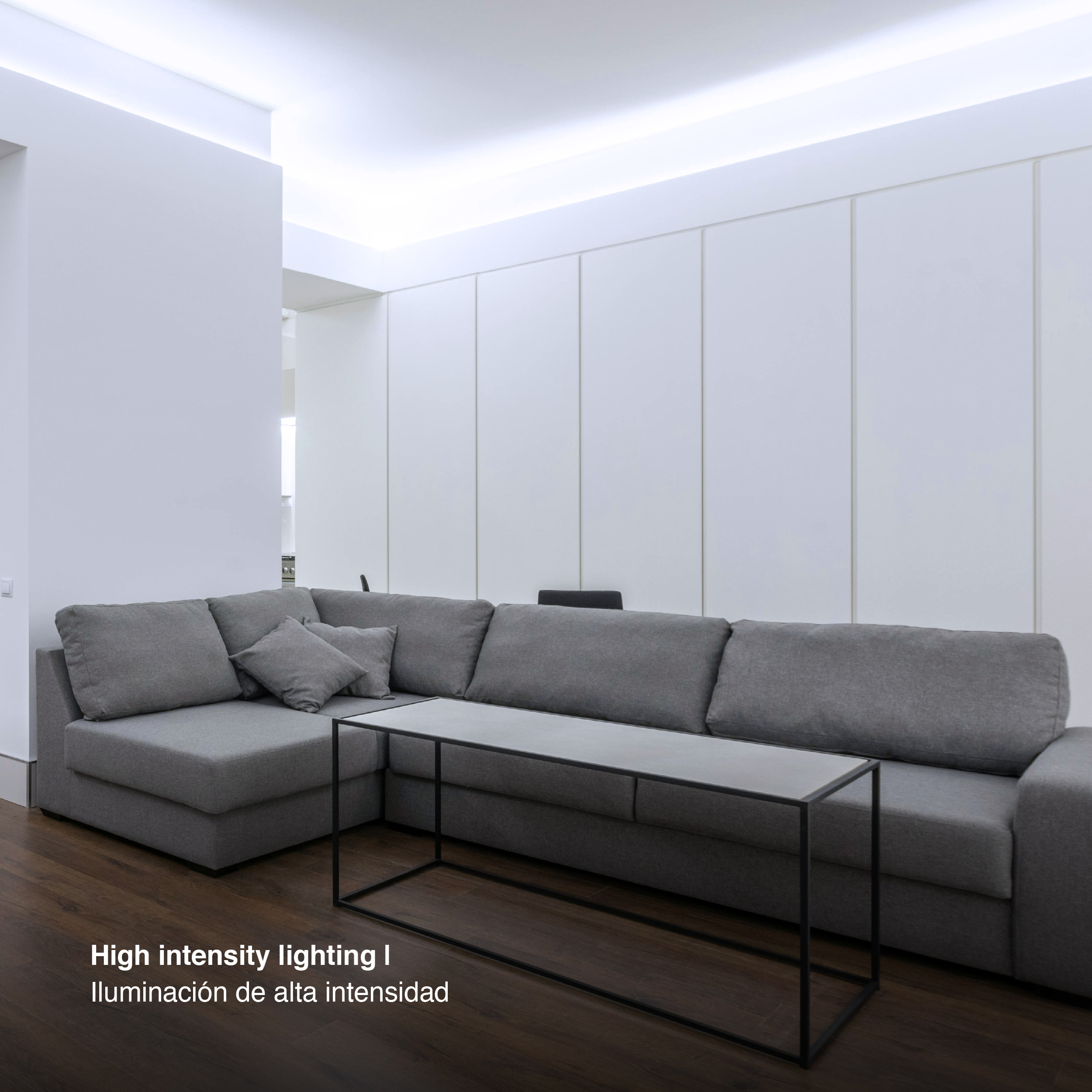 Tira LED SMD2835 12V 12W/m, Frío 1200lm/m 120 LEDs/m, 8mm PBC, 5m