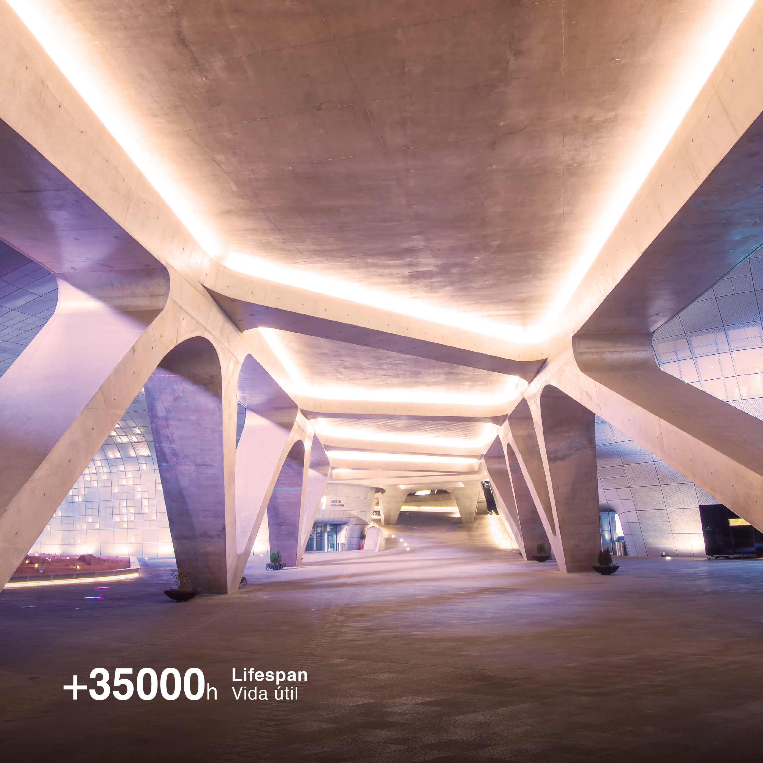 Tira LED COB 24V 11W/m Blanco Cálido 959lm/m 480LEDs/m 11mm IP68, 5m