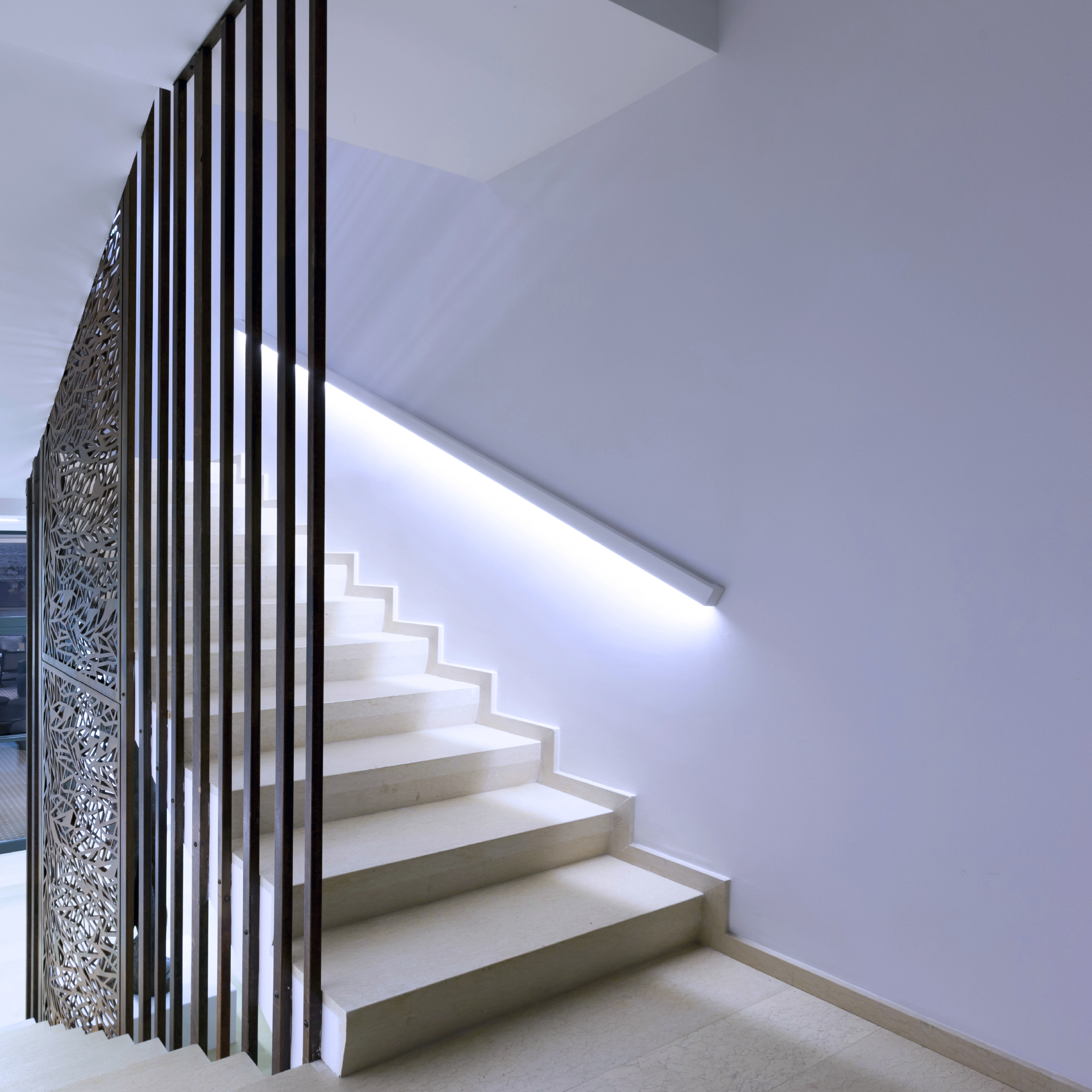 Tira LED SMD2835 24V 12W/m, Frío 1200lm/m 120 LEDs/m, 8mm PBC, 5m