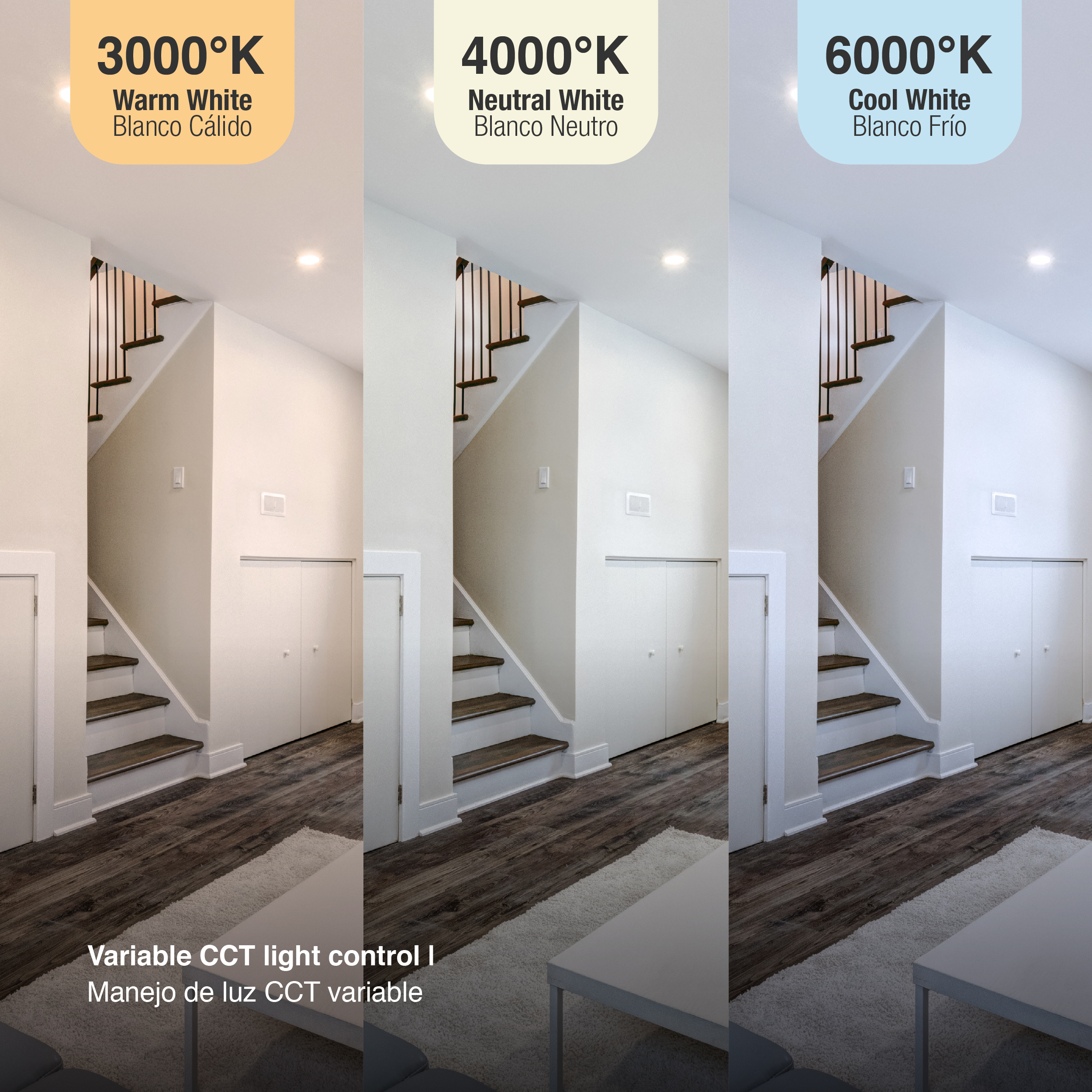 Control Remoto Rainbow RGB+CCT ∅70mm 2.4Ghz 