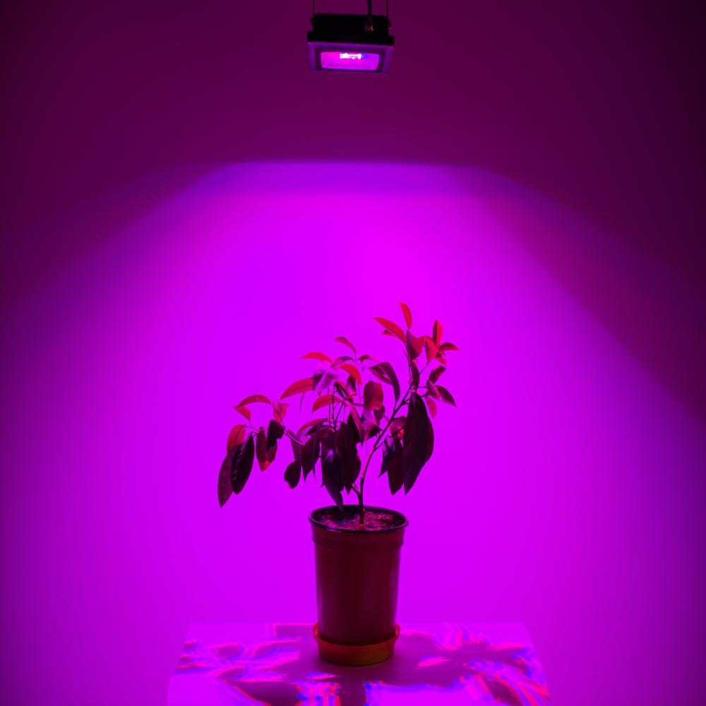 LED High Power GROW, Full Spectrum 4.000lm, 170-300Vac 50W