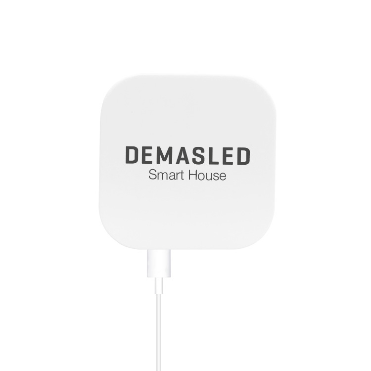 Hub Gateway Bluetooth WiFi 2.4GHz 