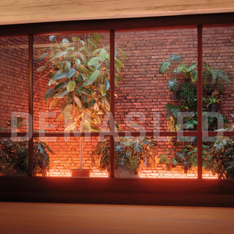 Tira LED de Neón SMD2835 IP67 12V 6W/m Rojo 120 LED/m 5m