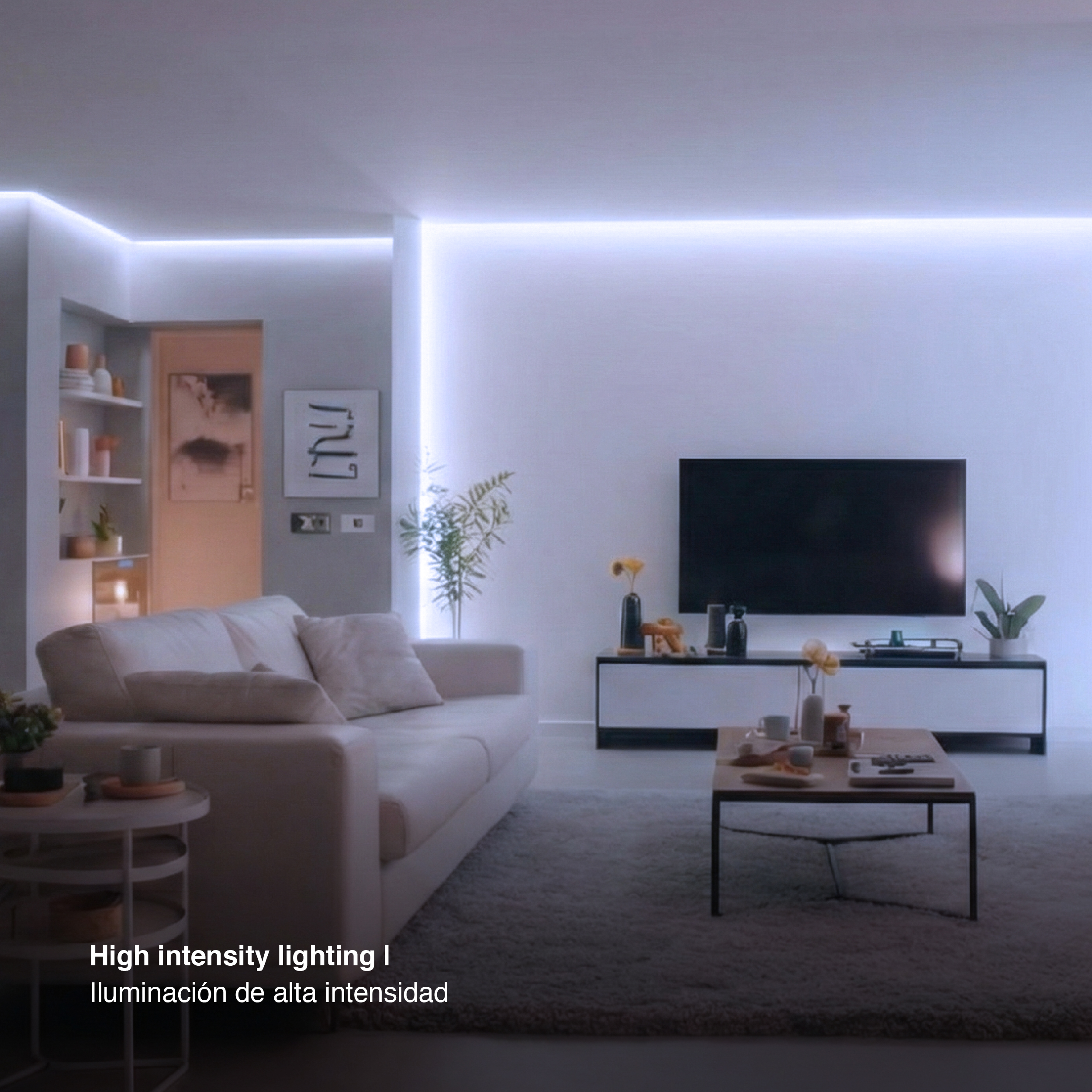 Tira LED Zig-Zag SMD2835, 24V 6.2W/m Frío 660 lm/m 60 LEDs/m, 5m