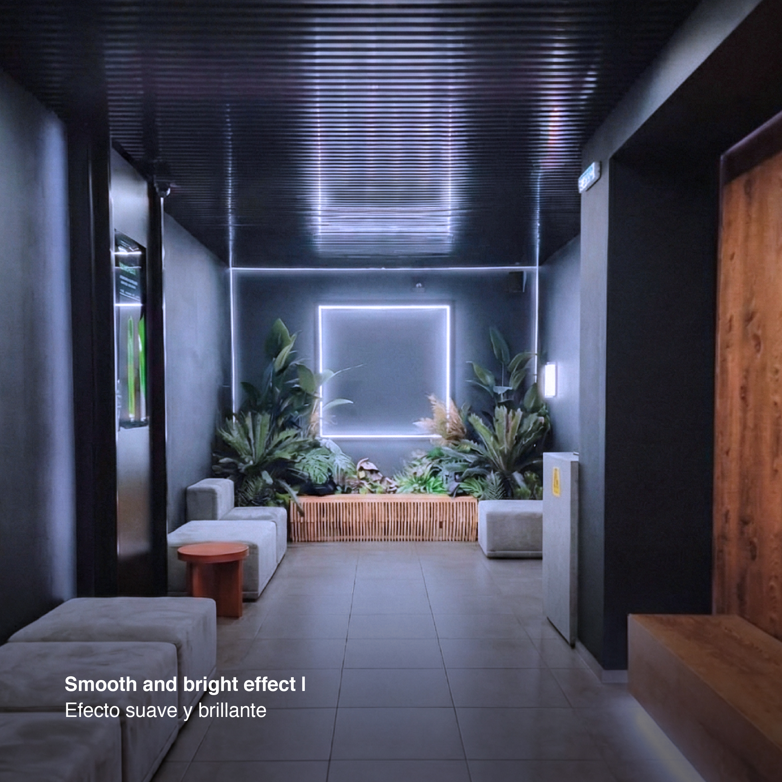 Tira LED Zig-Zag SMD2835, 24V 6.2W/m Frío 660 lm/m 60 LEDs/m, 5m