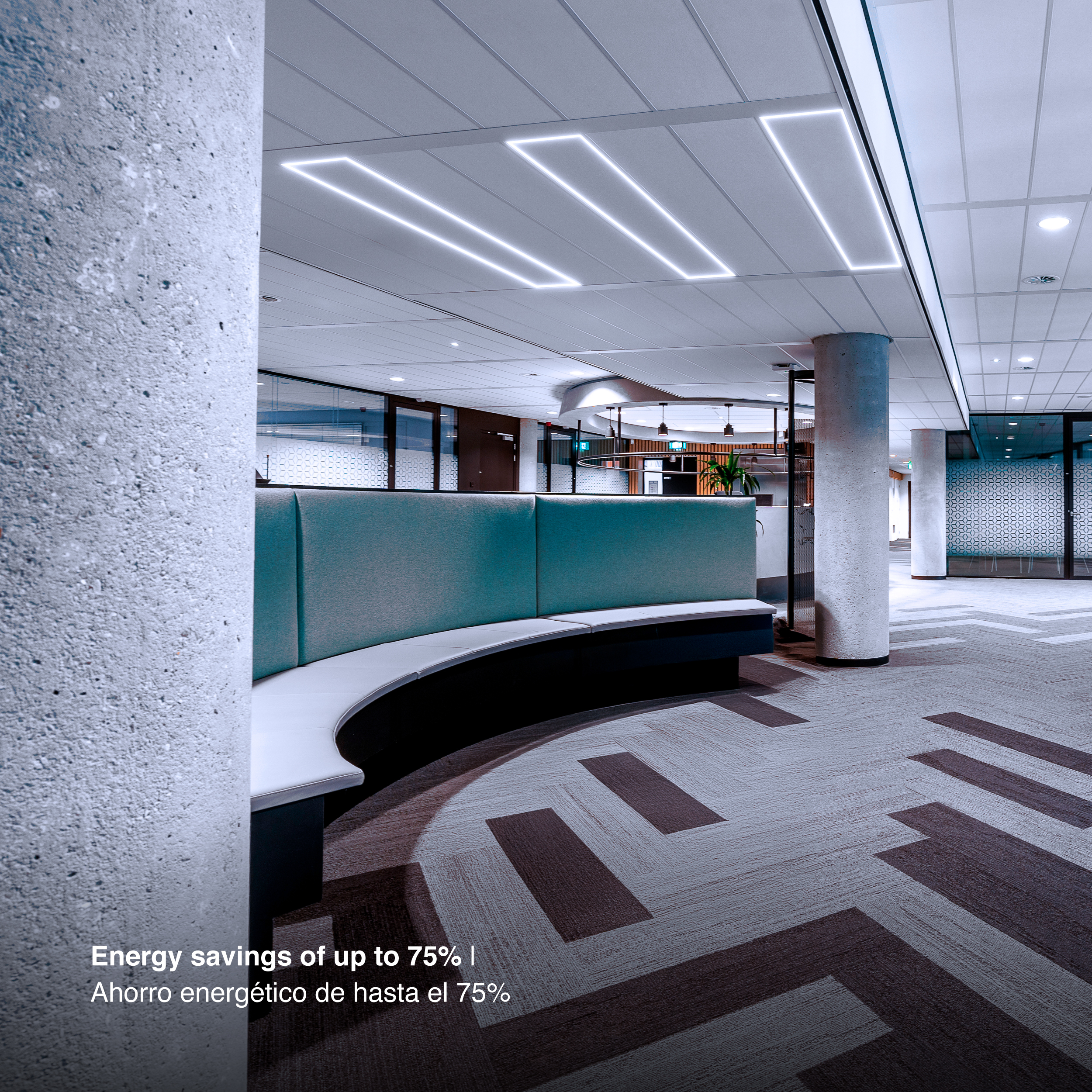 Marco Luminoso LED de 120x30cm 48W 5.300lm blanco Frío 6000K