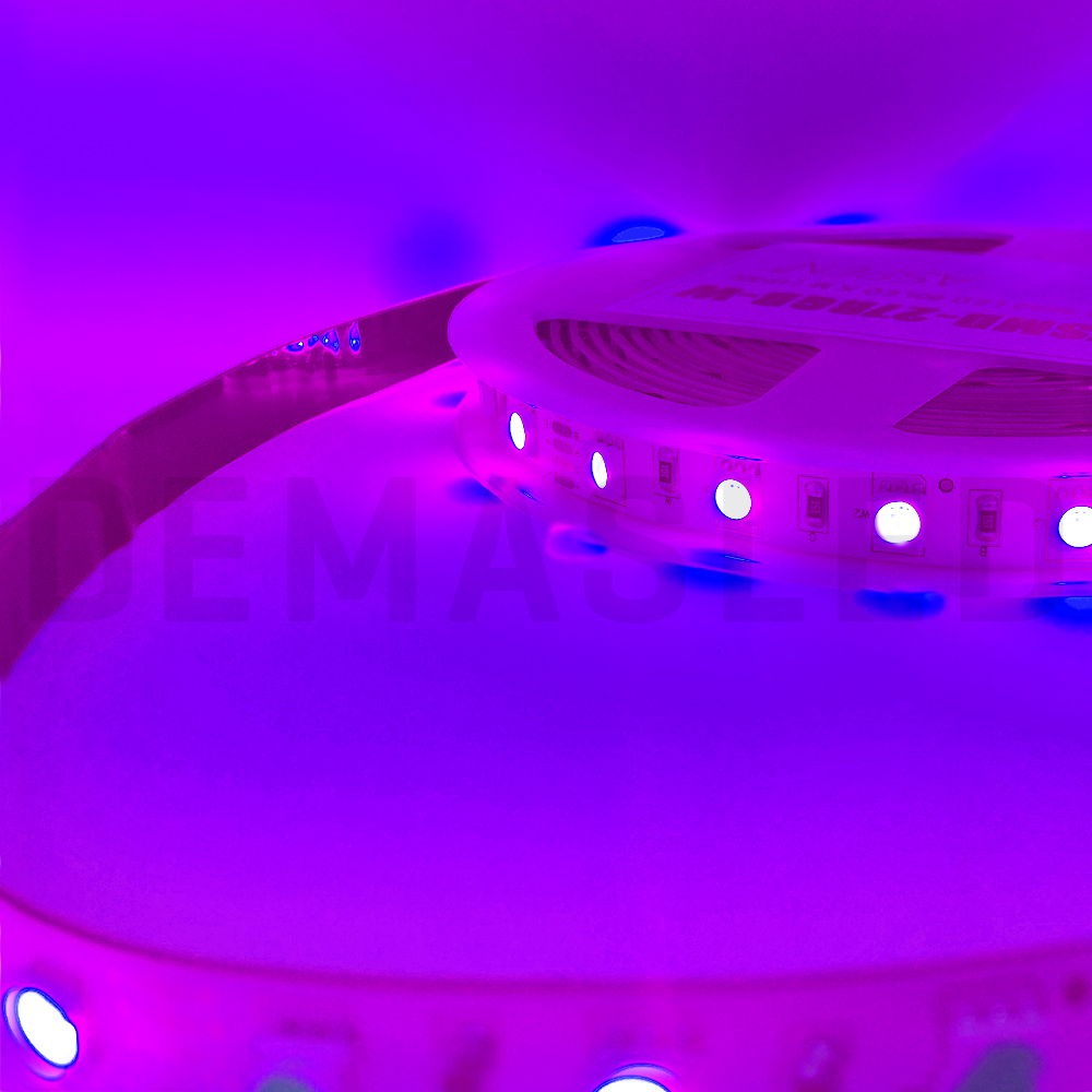 Tira  LED UV SMD5050 12V 12W/m Ultravioleta 90lm/m 60 LEDs/m, 5m