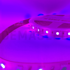 Tira  LED UV SMD5050 12V 12W/m Ultravioleta 90lm/m 60 LEDs/m, 5m
