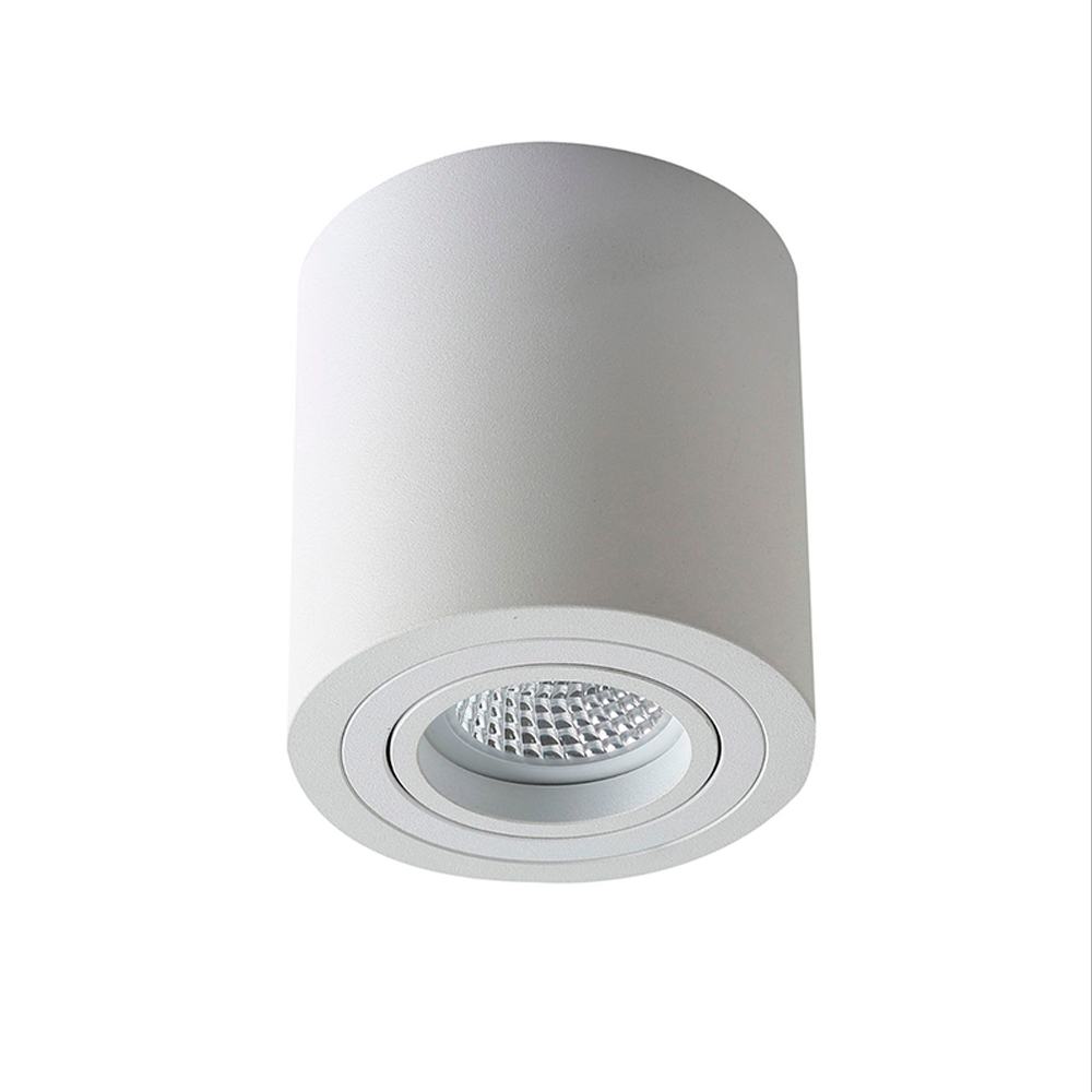 Plafón orientable cilíndrico blanco mate