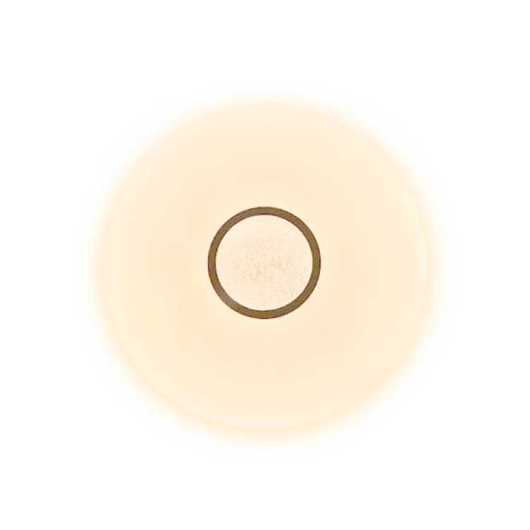 Plafón Turi CCT 40W 3000K a 6000K dimable con mando