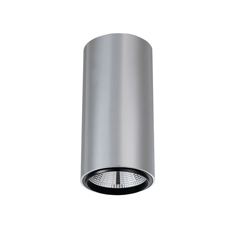 Cilindro 10W cromado 24º 4000K