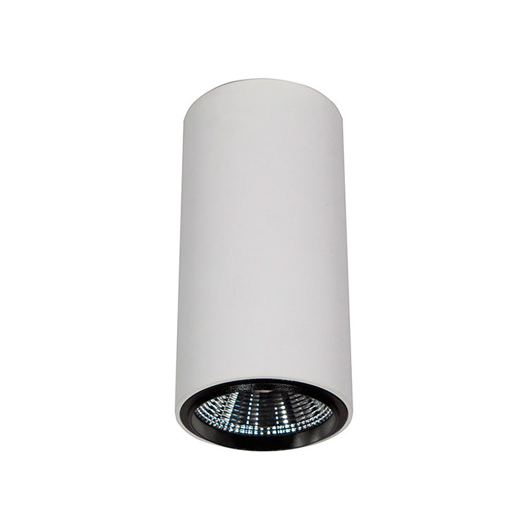 Cilindro 10W Blanco mate 24º 4000K