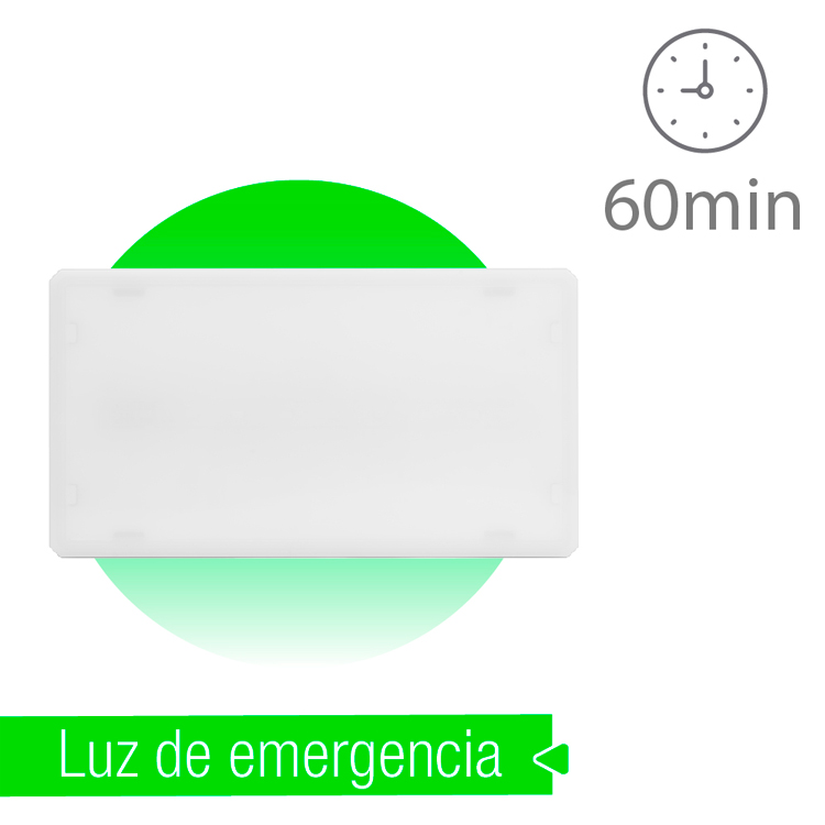 Luminaria emergencia 150/1 150 lm IP42 No Permanente. Superficie.
