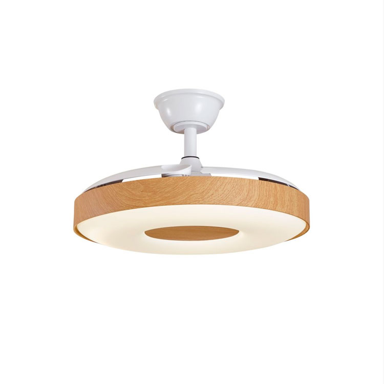Ventilador 50W haya CCT 110cm Paris