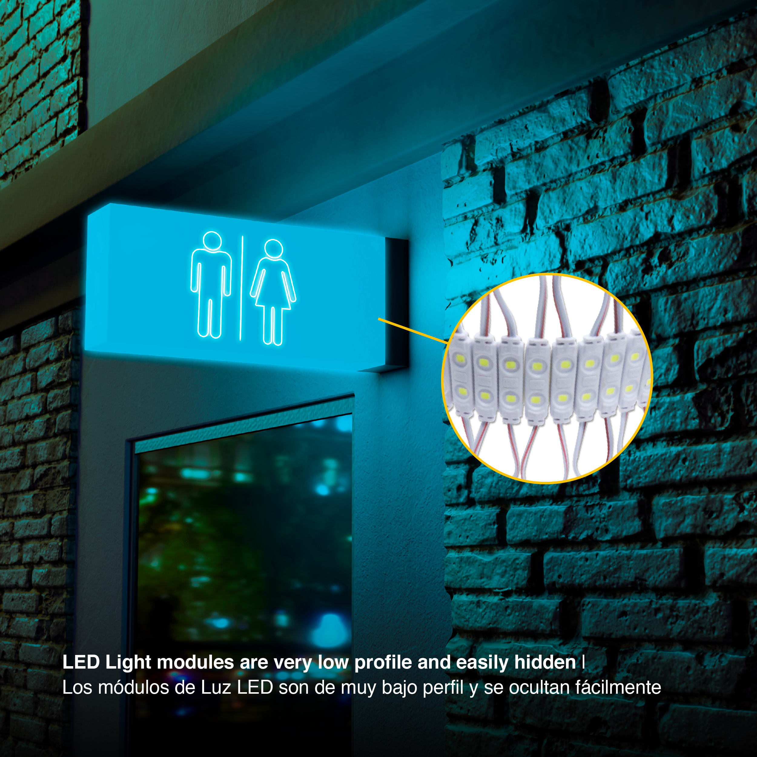 Módulo LED SMD2835, Frío 20lm 6500K 2 LEDs 12V 0.32W, IP65
