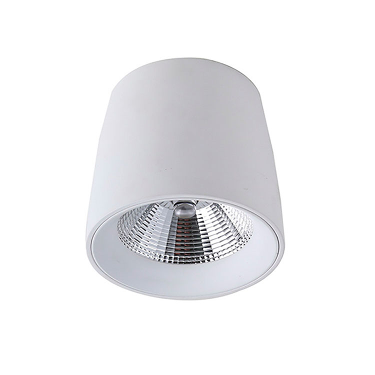Cilindro 10W blanco mate 23º 3000K