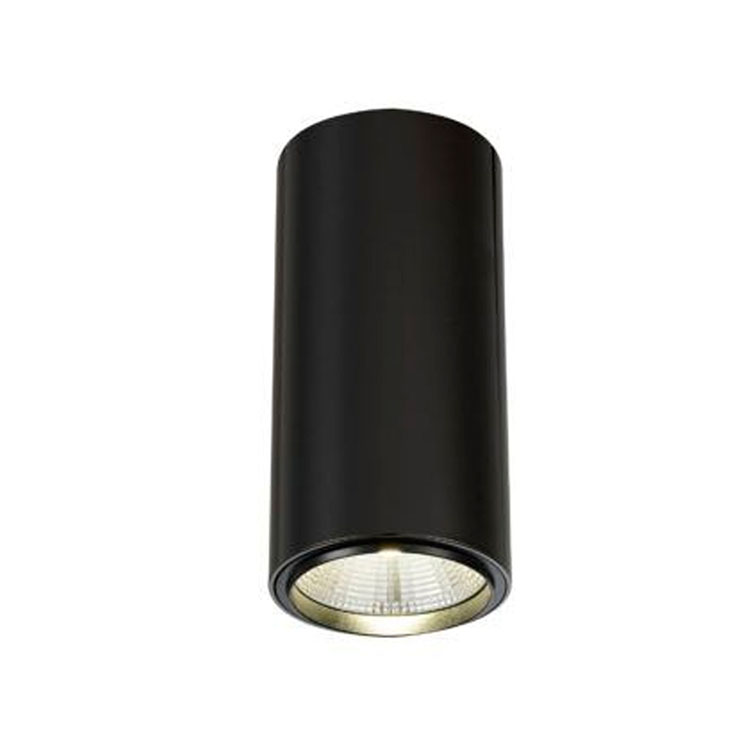 Cilindro 10W grafito 24º 3000K